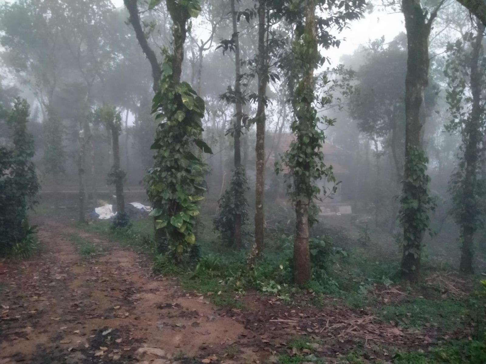 Tharayil Farm Stay Vagamon Exterior foto