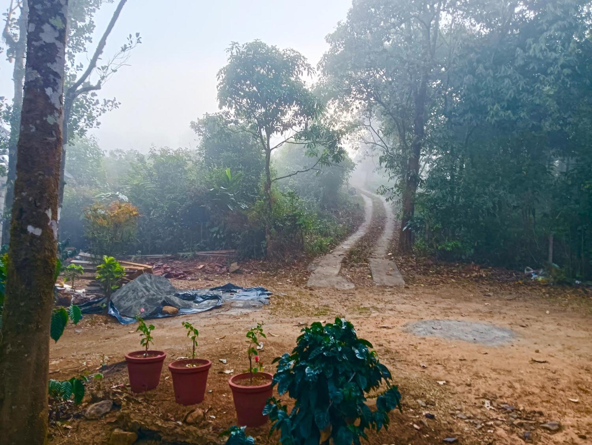 Tharayil Farm Stay Vagamon Exterior foto